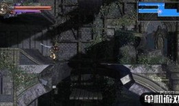 漂泊武士惨不惨爆料视频,揭秘爆料视频背后的心酸故事